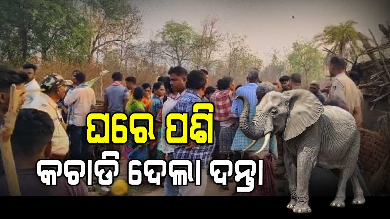 ହାତୀ ଆକ୍ରମଣରେ ଜଣେ ମୃତ, ୩ ଗୁରୁତର