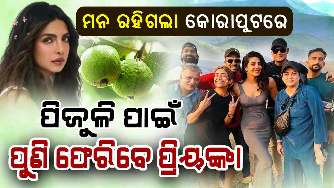 ମନ କିଣିନେଲା କୋରାପୁଟ ପିଜୁଳି 