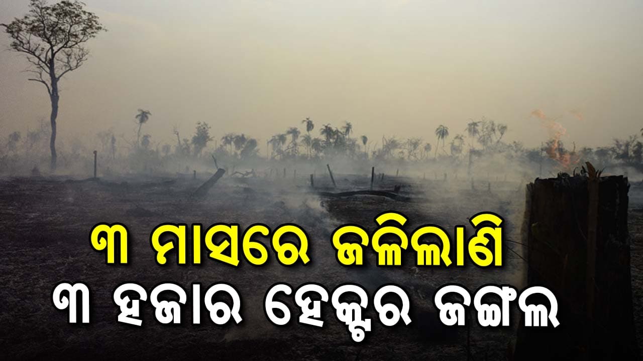 ଜଳୁଛି ଜଙ୍ଗଲ ! ବିଧାନସଭାରେ ସାଂଘାତିକ ତଥ୍ୟ ରଖିଛନ୍ତି ଜଙ୍ଗଲ ଓ ପରିବେଶ ମନ୍ତ୍ରୀ