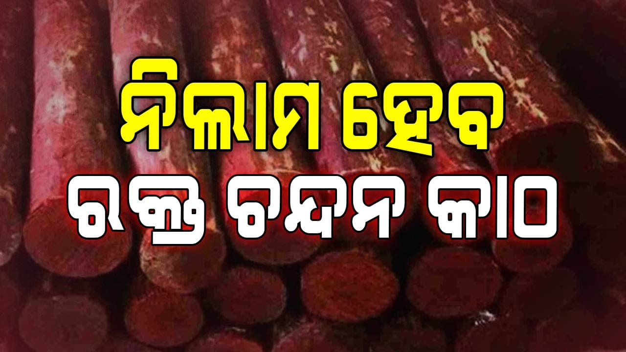 ନିଲାମ ହେବ ୪ହଜାରରୁ ଅଧିକ ରକ୍ତଚନ୍ଦନ ଗଛ: ମନ୍ତ୍ରୀ ଗଣେଶ ରାମ ସିଂ ଖୁଣ୍ଟିଆ 