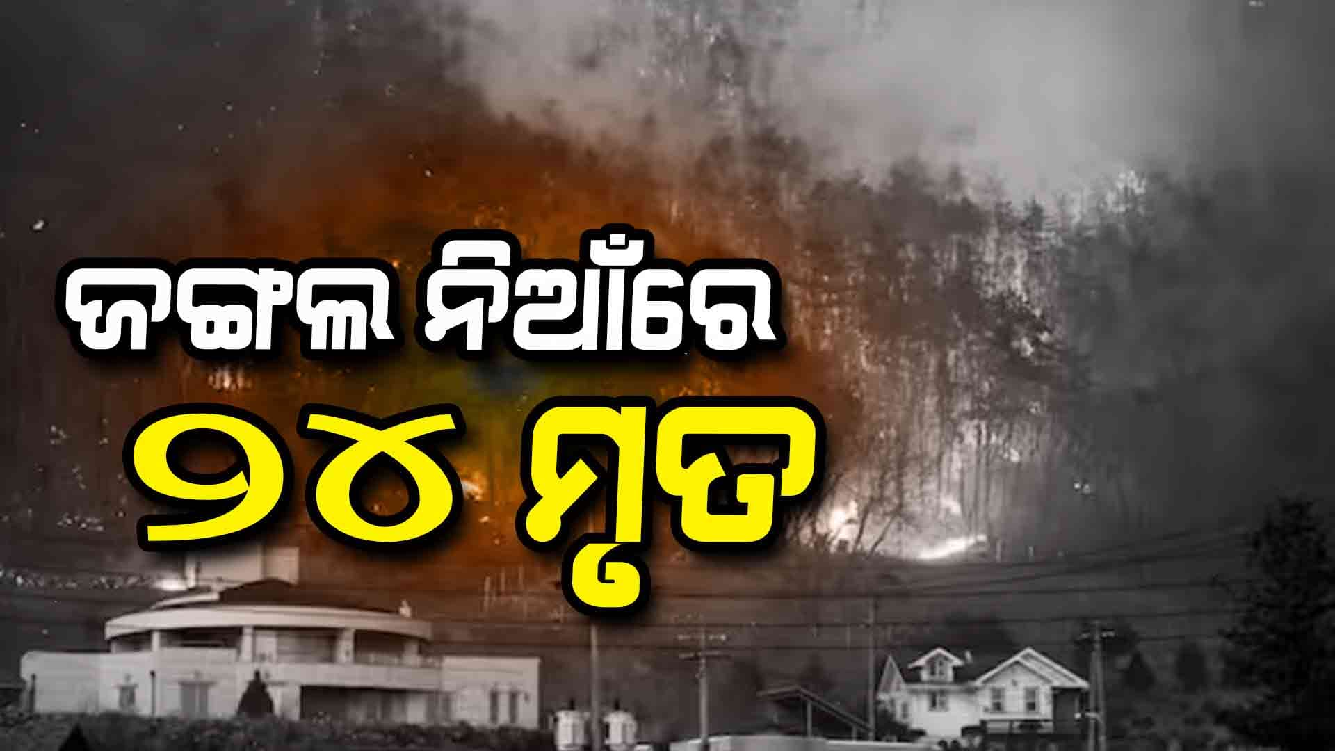 ଶୁକ୍ରବାର ଠାରୁ ଜଙ୍ଗଲ ଜଳୁଛି, ୯୦୦୦ ଦମକଳ ବାହିନୀର ପ୍ରୟାସ ସତ୍ତ୍ଵେ ଆୟତ୍ତକୁ ଆସୁନି ନିଆଁ