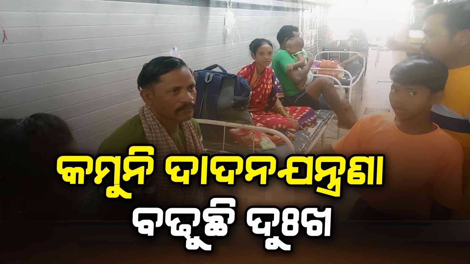 ରାଜ୍ୟରେ ଦାଦନ ଯନ୍ତ୍ରଣା ଦିନକୁ ଦିନ ବଢିଚାଲିଛି 