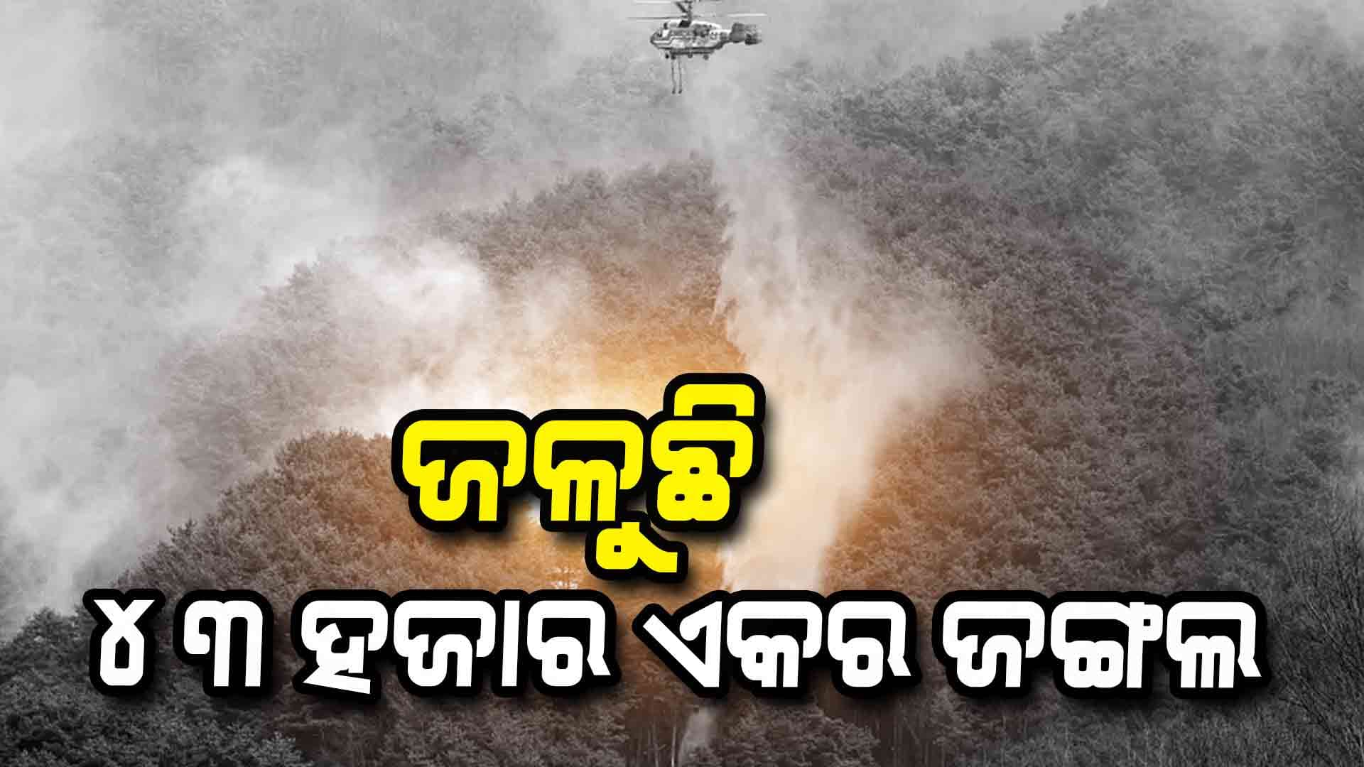 ଓଡ଼ିଶାରେ ବି ଗ୍ରୀଷ୍ମ ଆରମ୍ଭରୁ ଜଳିଲାଣି ଜଙ୍ଗଲ 