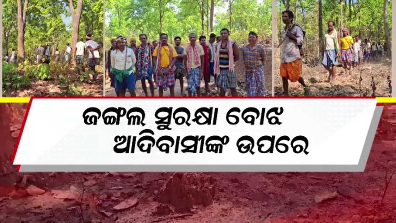 ଗ୍ରାମବାସୀଙ୍କ ସଜାଗ ସତ୍ତ୍ୱେ ମାତିଛନ୍ତି କାଠ ମାଫିଆ