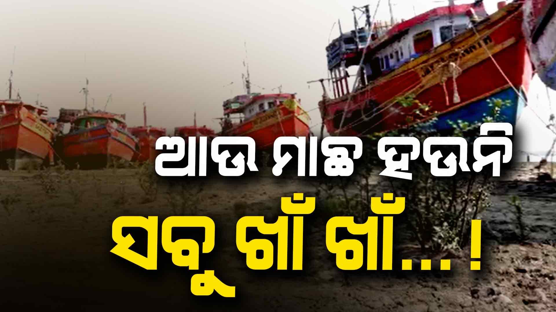 ଆଉ ଦକ୍ଷୀଣା ପବନ ବହୁନି କି ଜାଲରେ ମାଛ ପଡ଼ୁନି !