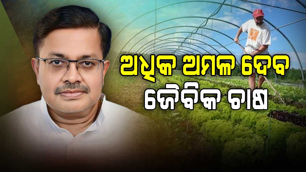 ଜୈବିକ ଚାଷକୁ ଓଡ଼ିଶା ସରକାରଙ୍କ ଗୁରୁତ୍ବ