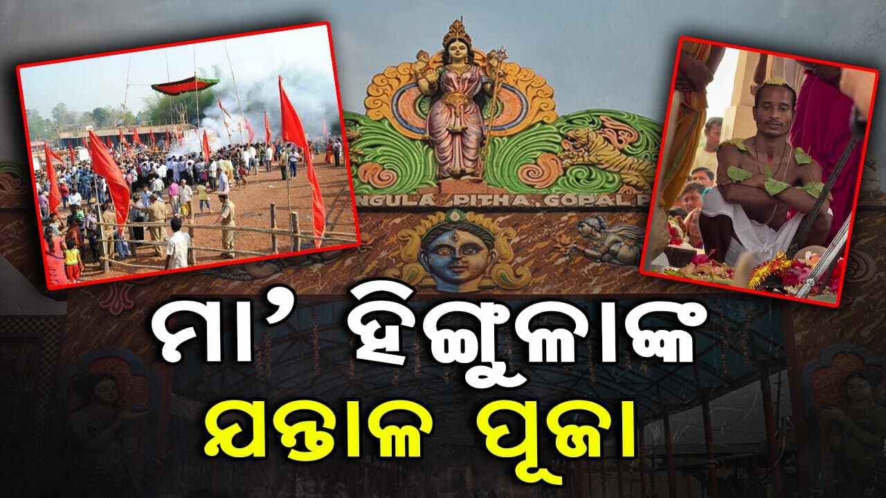 ହିଙ୍ଗୁଳା ଯାତ୍ରା ପୂର୍ବରୁ ଯନ୍ତାଳ ପୂଜା ଅନୁଷ୍ଠିତ