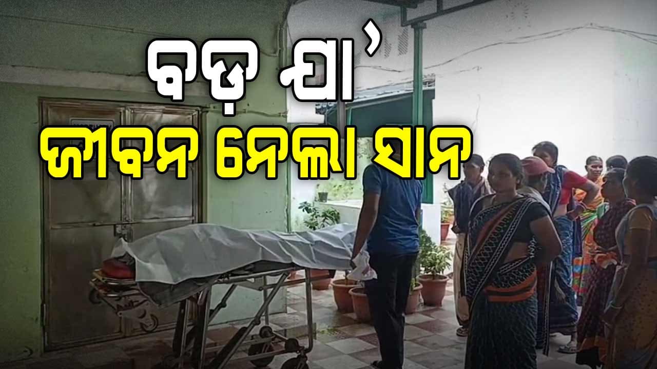ଜାଳ କାଠ ପାଇଁ ବଡ଼ ଯା'କୁ ପିଟି ପିଟି ମାରିଦେଲା ସାନ