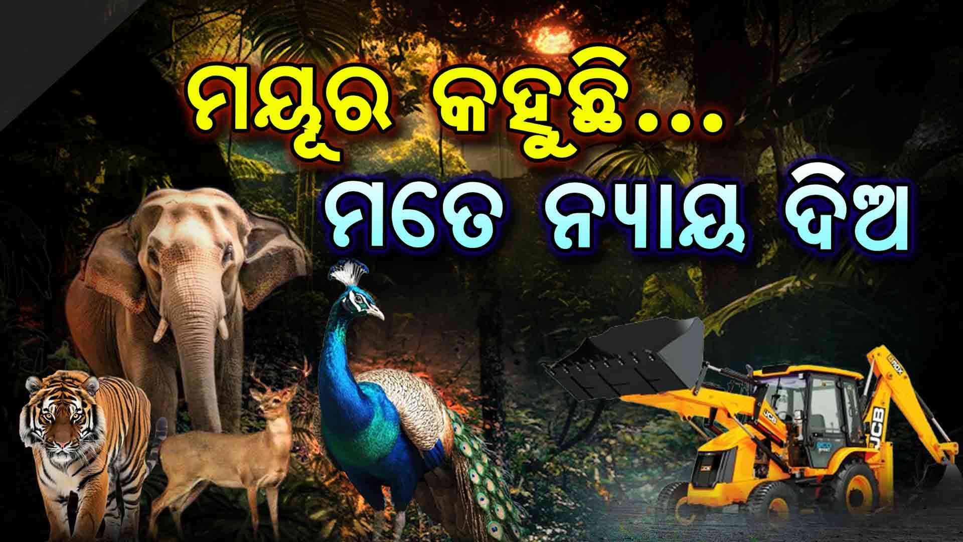 ପଶୁ ପକ୍ଷୀଙ୍କ ଆର୍ତ୍ତ ଚିତ୍କାର...ଭୂଇଁରେ ଲୋଟି ପଡିଛି ଶହ ଶହ ଗଛ