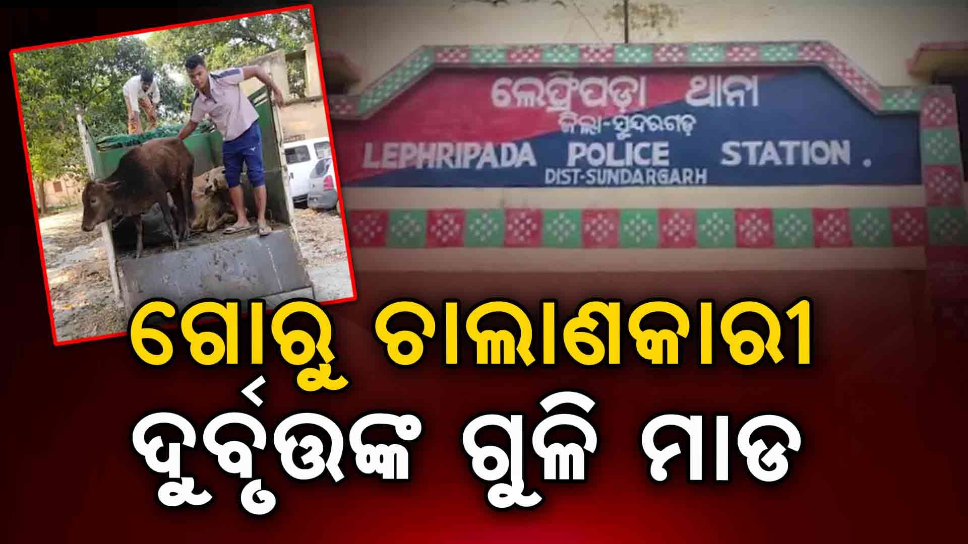 ଅବକାରୀ ବିଭାଗ ଗାଡି ଉପରକୁ ଗୁଳି ମାଡ, ଜଣେ ଗିରଫ