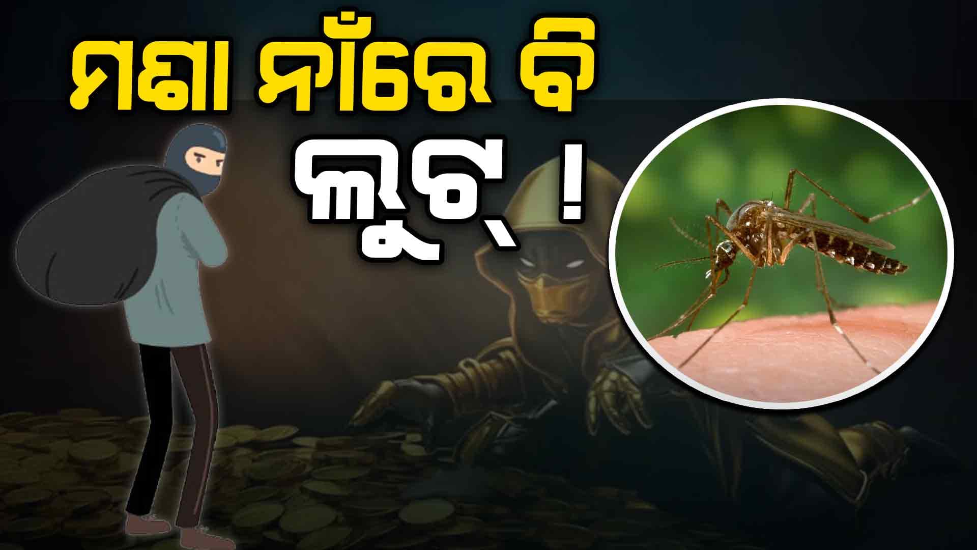 ମଶା ମାରିବାକୁ ଖର୍ଚ୍ଚ ହୋଇଛି ଲକ୍ଷ ଲକ୍ଷ ଟଙ୍କା, ଜାଣିଲେ ମୁଣ୍ଡରେ ହାତ ଦେବେ !