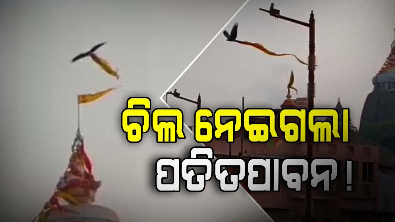 ନୀଳଚକ୍ରରୁ ବାନା ନେଇଗଲା ଚିଲ !