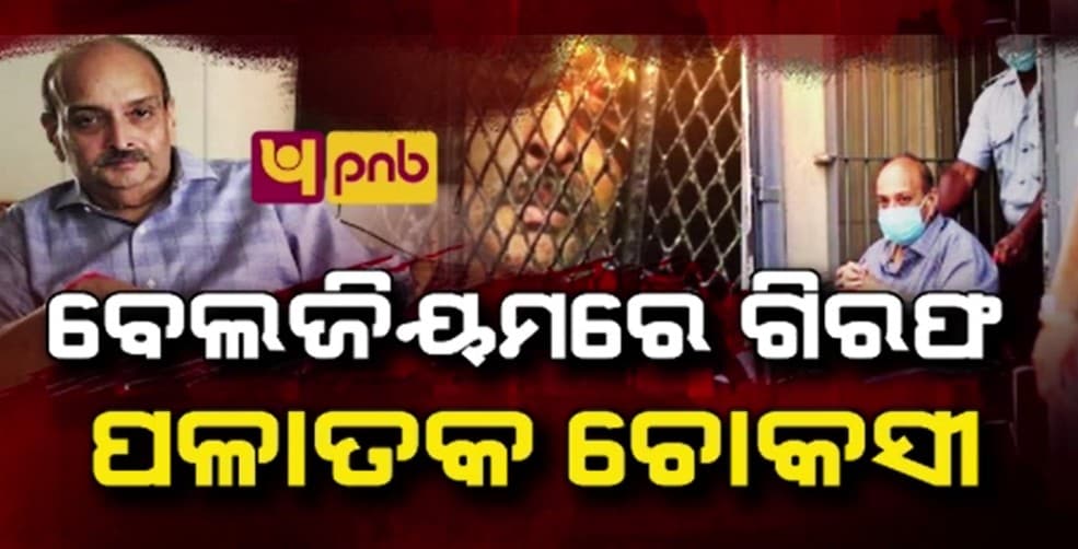 ଶେଷରେ ଧରାପଡିଲା ପଳାତକ ହୀରା ବ୍ୟବସାୟୀ ମେହୁଲ ଚୋକସି 