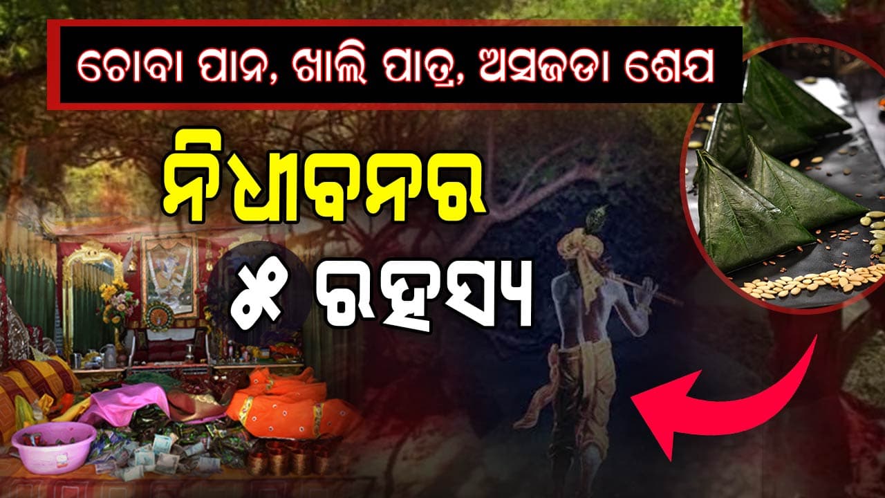 ରହସ୍ୟମୟ ନୀଧିବନ, ଜାଣନ୍ତୁ କେଉଁ ସ୍ଥାନରେ ରହିଛି କେଉଁ ରହସ୍ୟ....