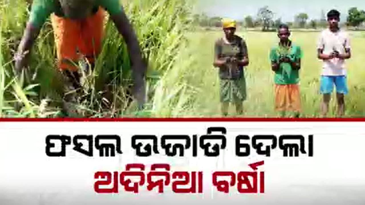 ପାଣିରେ ବର୍ଷକର ରୋଜଗାର, ଭାଙ୍ଗିଦେଲା ଚାଷୀଙ୍କ ମେରୁଦଣ୍ଡ