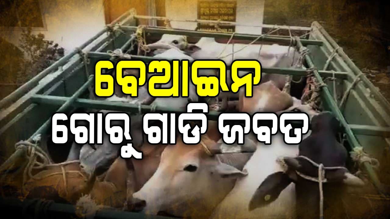 ଭଦ୍ରକରେ ବେଆଇନ ଗୋରୁ ବୋଝେଇ ଗାଡି ଜବତ