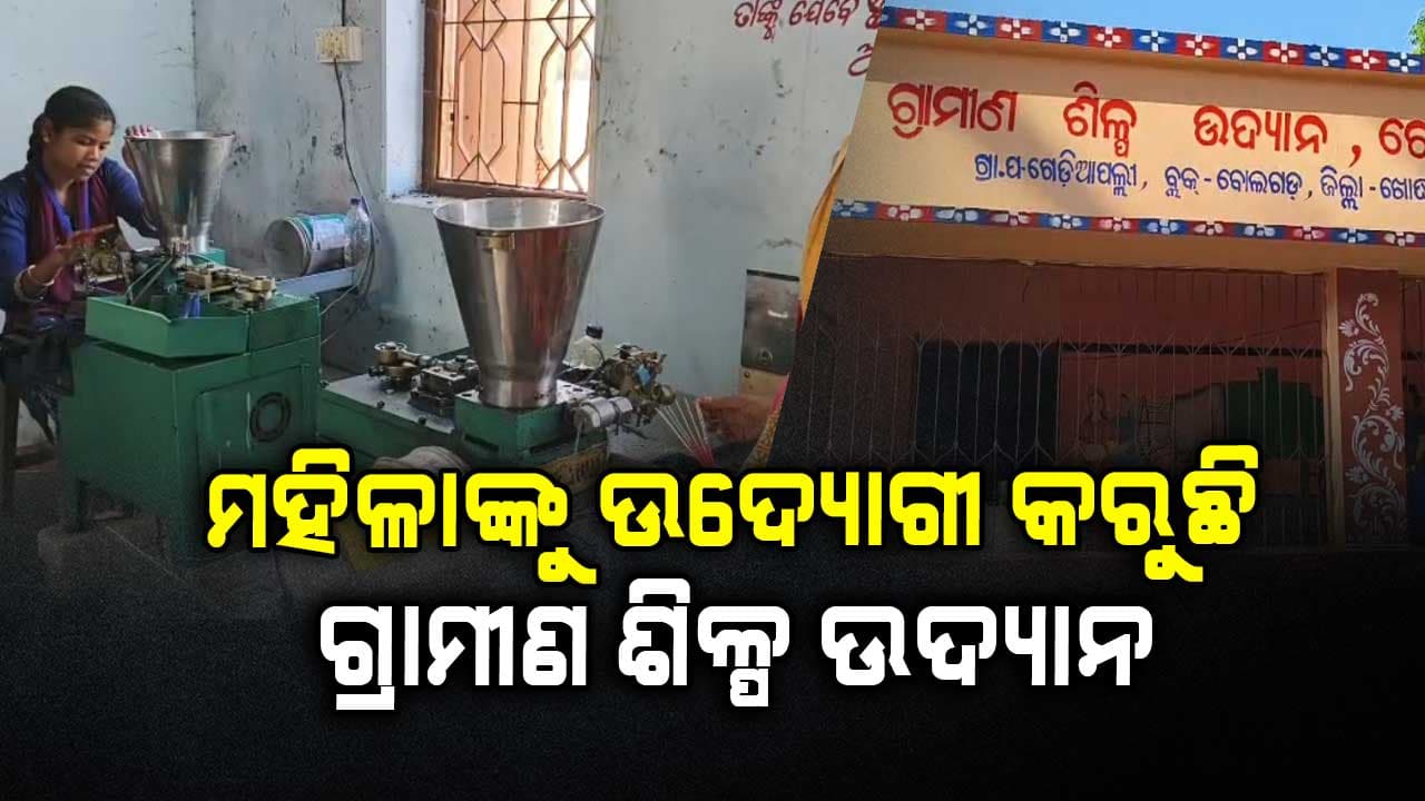 ବନ୍ଦ ପଡ଼ିଥିବା ସ୍କୁଲ୍ ଘର ହେଲା ଶିଳ୍ପ ଉଦ୍ୟାନ