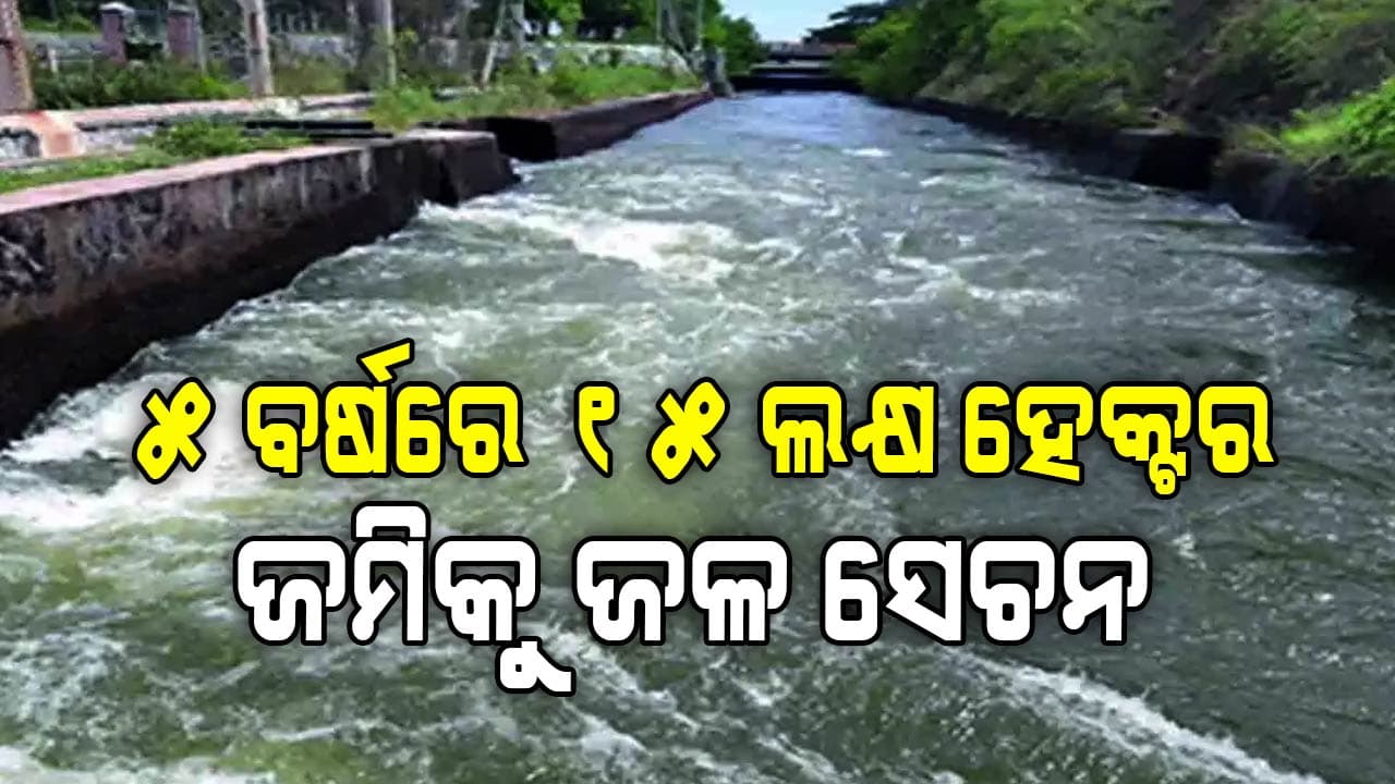  ରାଜ୍ୟରେ କୃଷି ଓ ଶିଳ୍ପକୁ ଦିଆଯାଉଛି ଅଧିକ ଗୁରୁତ୍ବ 
