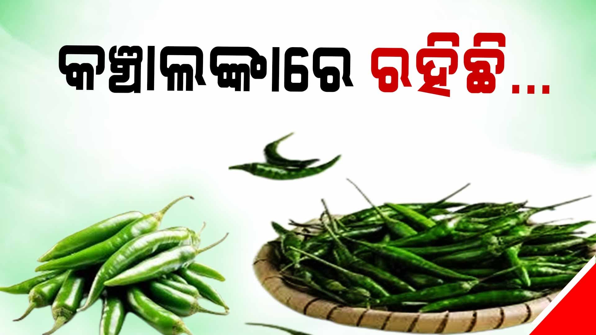 କଞ୍ଚାଲଙ୍କାରେ ପ୍ରବଳ ରହିଛି ପୋଷକତତ୍ତ୍ୱ, ଖାଇଲେ ହେବ...
