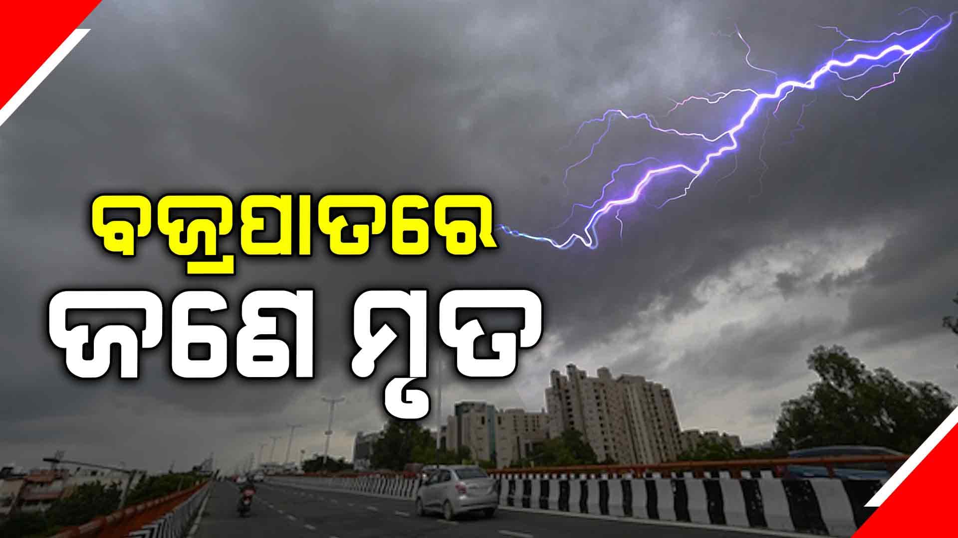 ବିଲକୁ ଛେଳି ଚରେଇବାକୁ ଯାଇଥିଲେ, ଟଳିପଡିଲେ