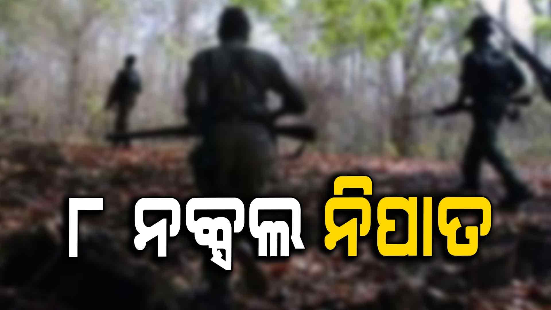 ସୁରକ୍ଷାକର୍ମୀଙ୍କ ଗୁଳିରେ ଟଳିଲେ ୮ ମାଓବାଦୀ