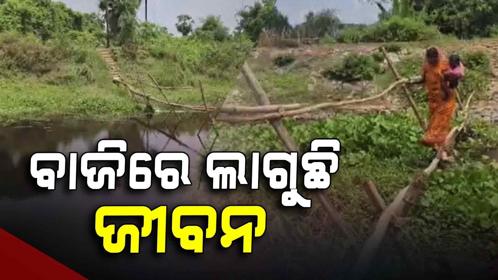 ସରୁନି ଦୀର୍ଘ ବର୍ଷର ବାଉଁଶ ପୋଲ କାହାଣୀ