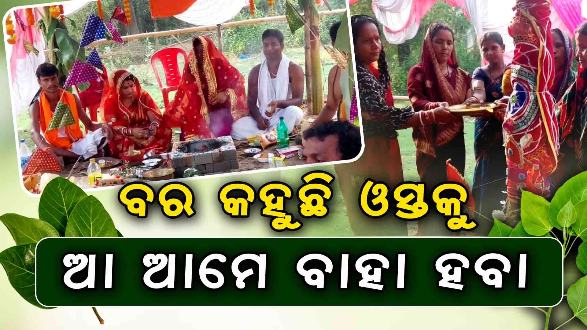 ଗଛର ବିବାହ କରାଇଲେ ଗ୍ରାମବାସୀ, ଗାଁରେ ଭୋଜିଭାତର ଆସର 