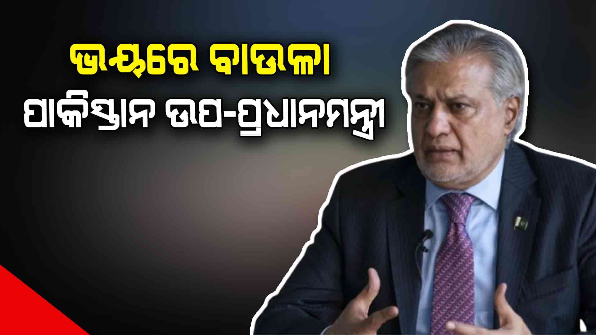 ଆତଙ୍କବାଦୀଙ୍କୁ ଏନେଇ ଏମିତି କହିଲେ ପାକିସ୍ତାନ ଉପ-ପ୍ରଧାନମନ୍ତ୍ରୀ