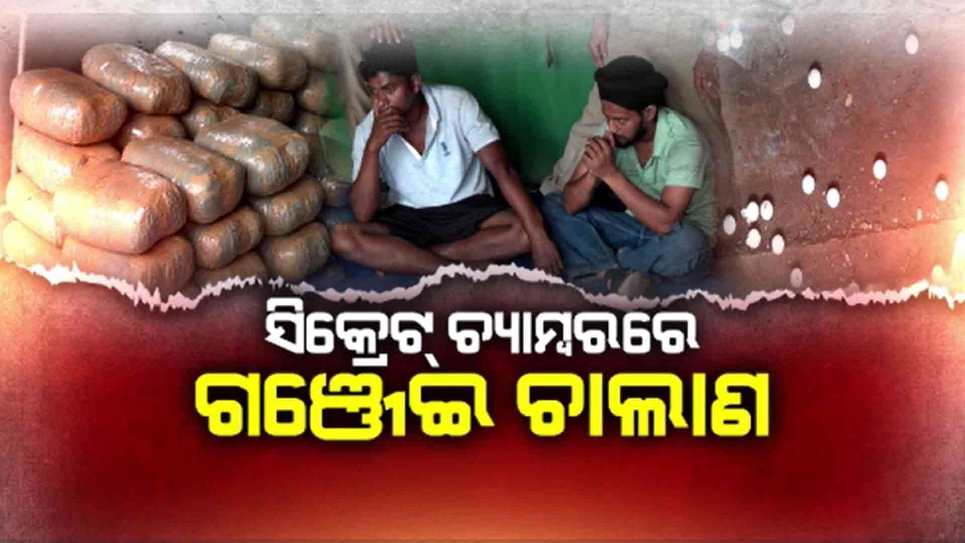 ଗଞ୍ଜେଇ ମାଫିଆଙ୍କ ହାଇଟେକ ବୁଦ୍ଧି