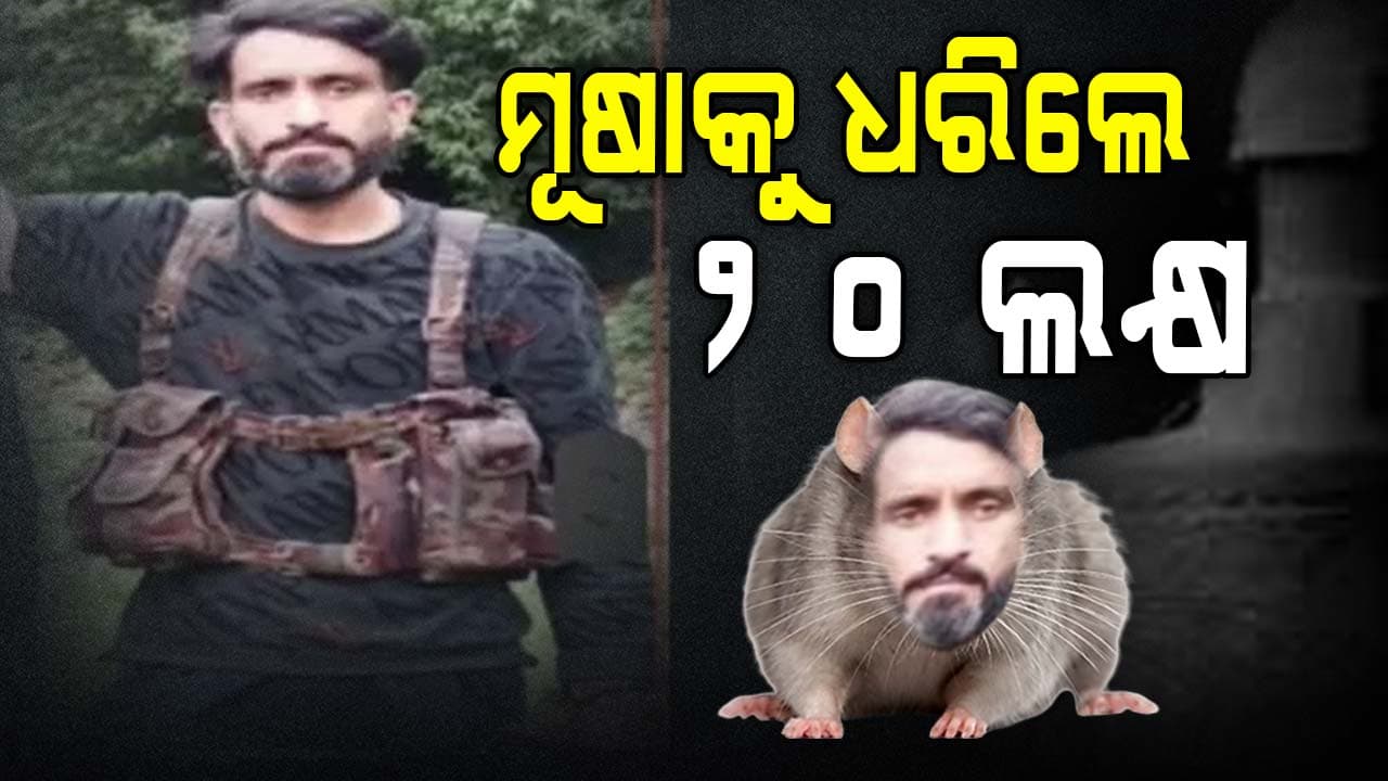 ଜଙ୍ଗଲରେ ଲୁଚିଛି ମୂଷା, ଖୋଜୁଛି ସେନା