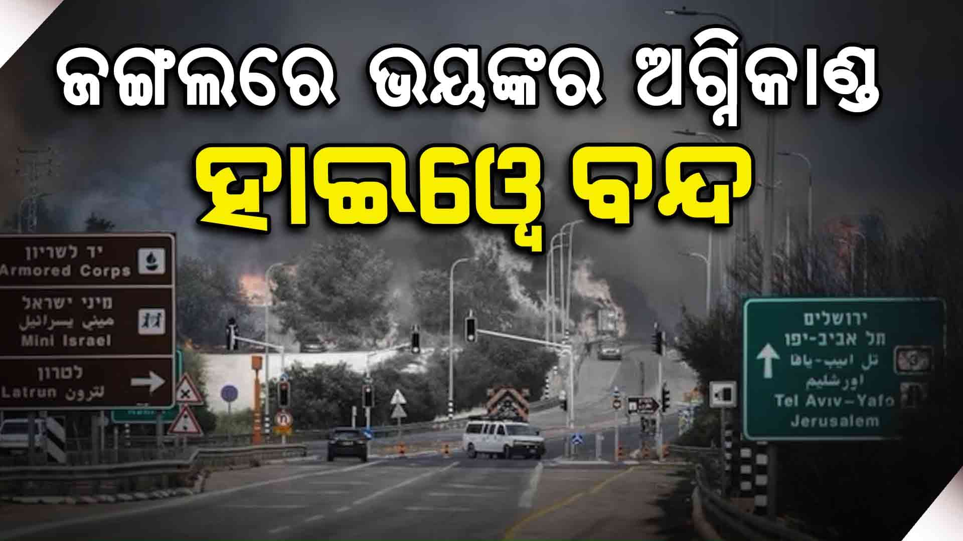 ଜଳୁଛି ଜଙ୍ଗଲ, ଗାଡି ଛାଡି ଦୌଡିଲେ ଲୋକେ