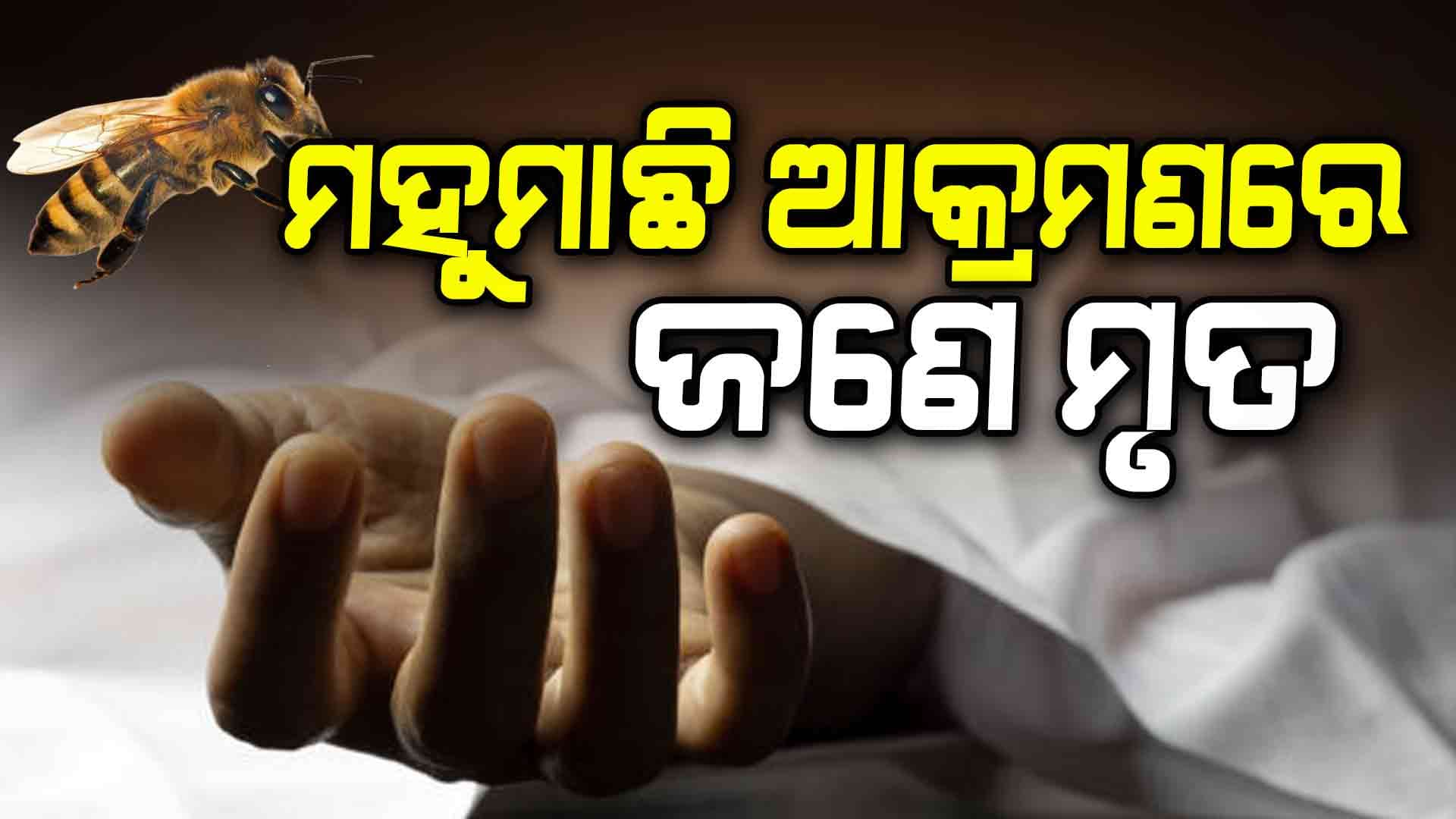 ମହୁମାଛି ଆକ୍ରମଣରେ ଅଟୋ ଡ୍ରାଇଭରଙ୍କ ମୃତ୍ୟୁ