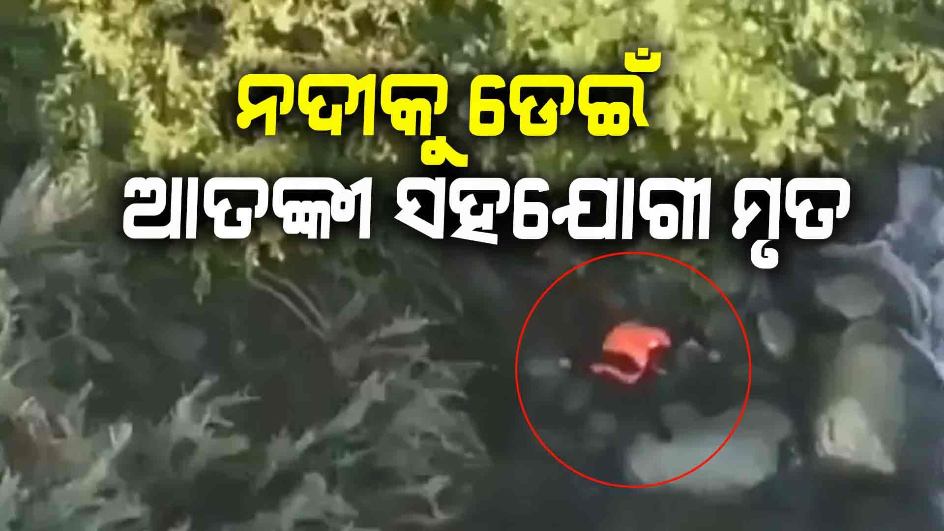 ପୋଲିସକୁ ଡରି ନାଳକୁ ଡେଇଁ ପଡ଼ି ମୃତ୍ୟୁବରଣ କଲେ ଆତଙ୍କବାଦୀଙ୍କ ସହଯୋଗୀ