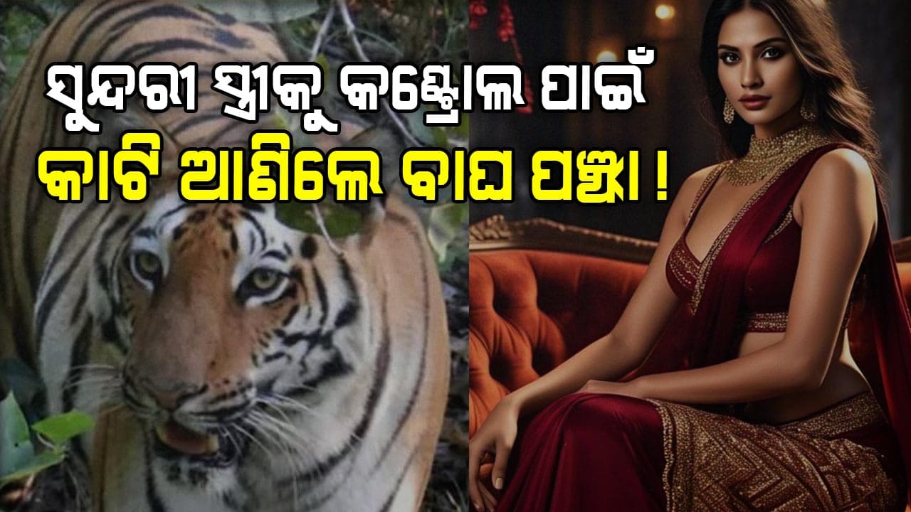 ଅଜବ ମାଣିଷ ! କ'ଣ ବାଘୁଣୀଠୁ ଅଧିକ ଭୟଙ୍କର ପତ୍ନୀ..?