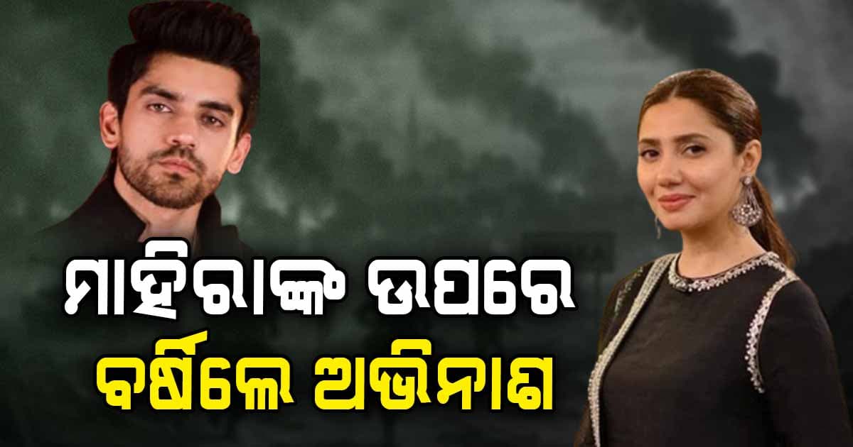 ସୋସିଆଲ ମିଡିଆରେ ସେଲିବ୍ରିଟିଙ୍କ ଝଗଡା, ଅଭିନାଶ କହିଲେ ଦିଦି...