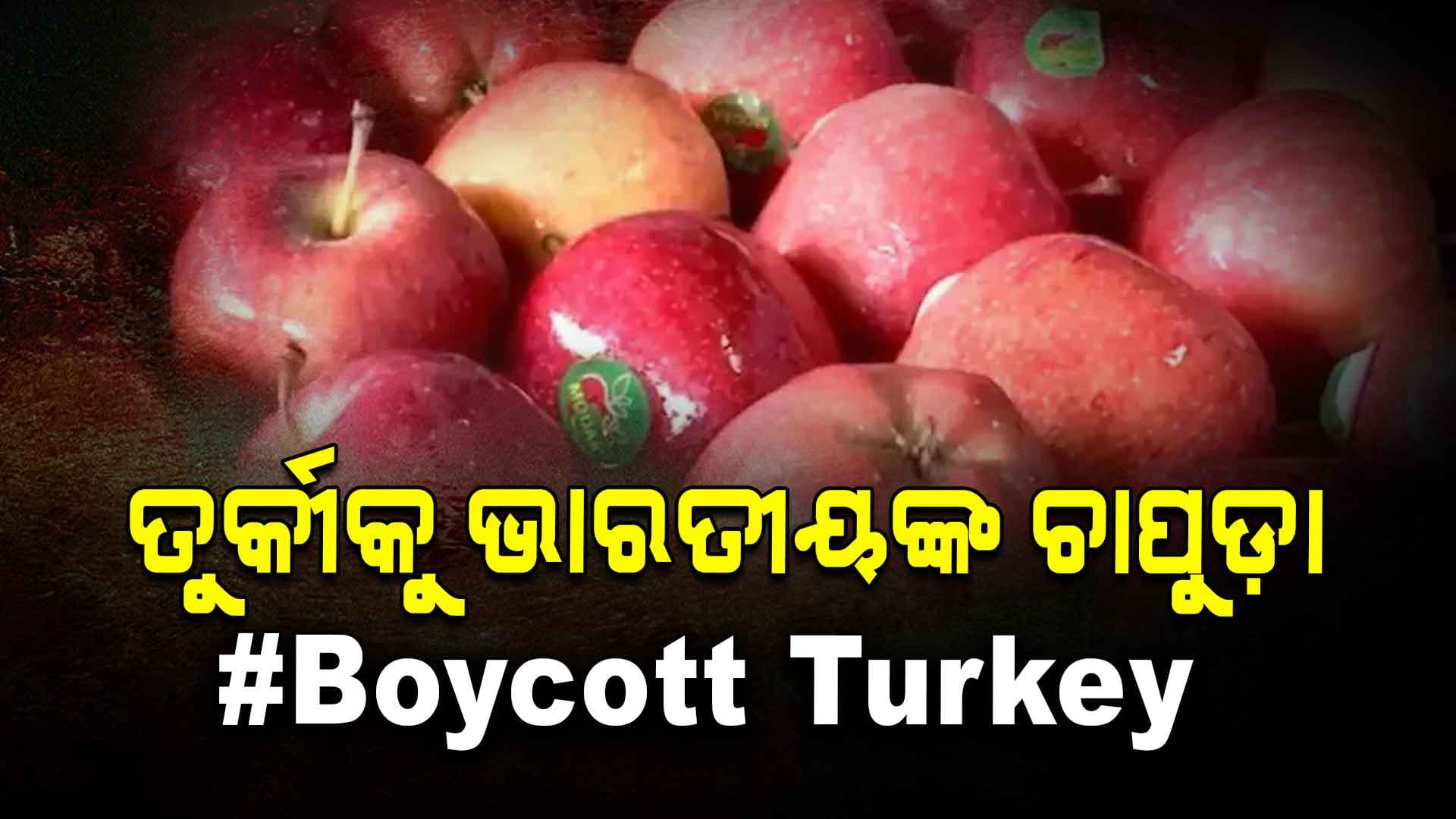 ତୁର୍କୀ ସହିବ ୪୦୦୦ କୋଟିର କ୍ଷତି: ମହଙ୍ଗା ପଡ଼ିଲା ପାକିସ୍ତାନକୁ ସମର୍ଥନ