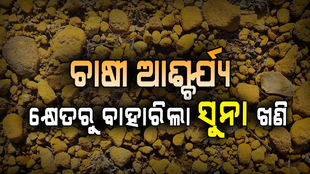 କ୍ଷେତରୁ ସୁନା ଖଣି ବାହାରିଲା, ହେଲେ ଖୋଳିଲା ବେଳକୁ ଏମିତି ହେଲା