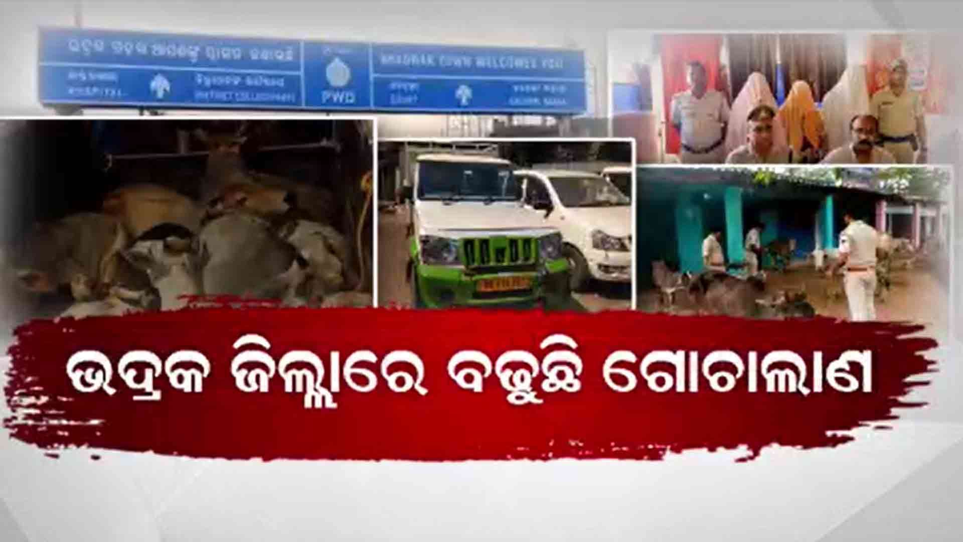 ନୂଆ ନୂଆ ତରିକା ଆପଣାଉଛନ୍ତି ଗୋମାଫିଆ
