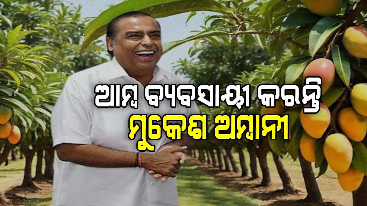 ଆମ୍ବ ବ୍ୟବସାୟ କରନ୍ତି ମୁକେଶ ଅମ୍ବାନୀ, ପାଆନ୍ତି କୋଟି କୋଟି ଟଙ୍କା... 