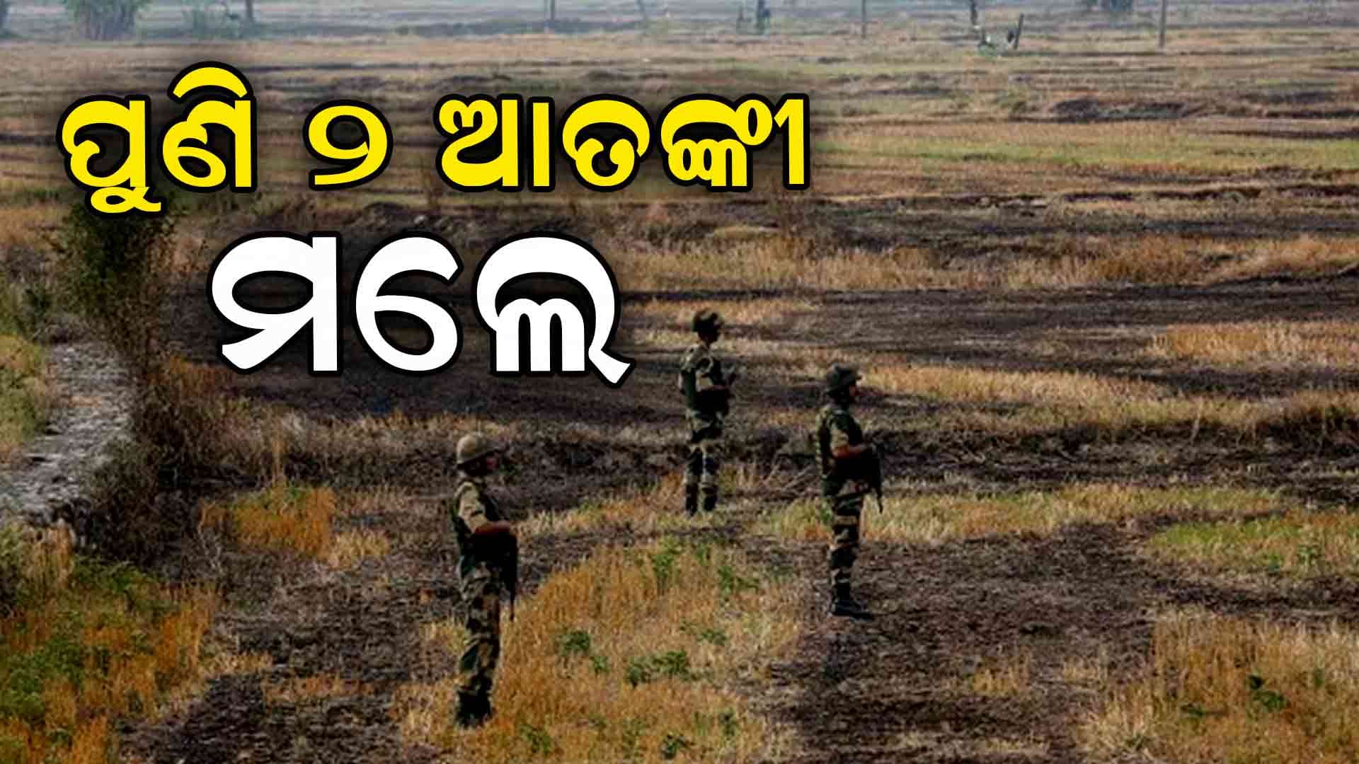 ଆତଙ୍କୀଙ୍କୁ ଖୋଜି ଖୋଜି କରାଯାଉଛି ଗୁଳି 