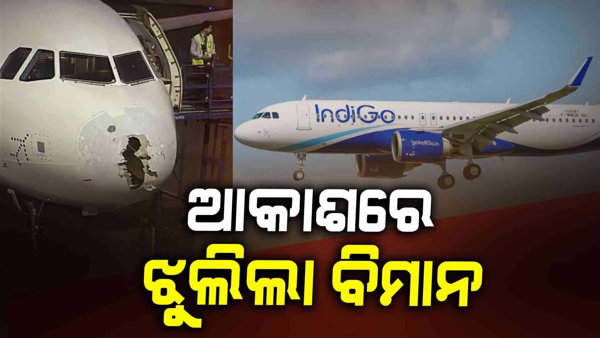ପ୍ରବଳ ଝଡ଼ ତୋଫାନରେ ଫସିଲା ଇଣ୍ଡିଗୋ ଏୟାରଲାଇନ୍ସ ବିମାନ: ଆତଙ୍କିତ ୨୨୭ ଯାତ୍ରୀ