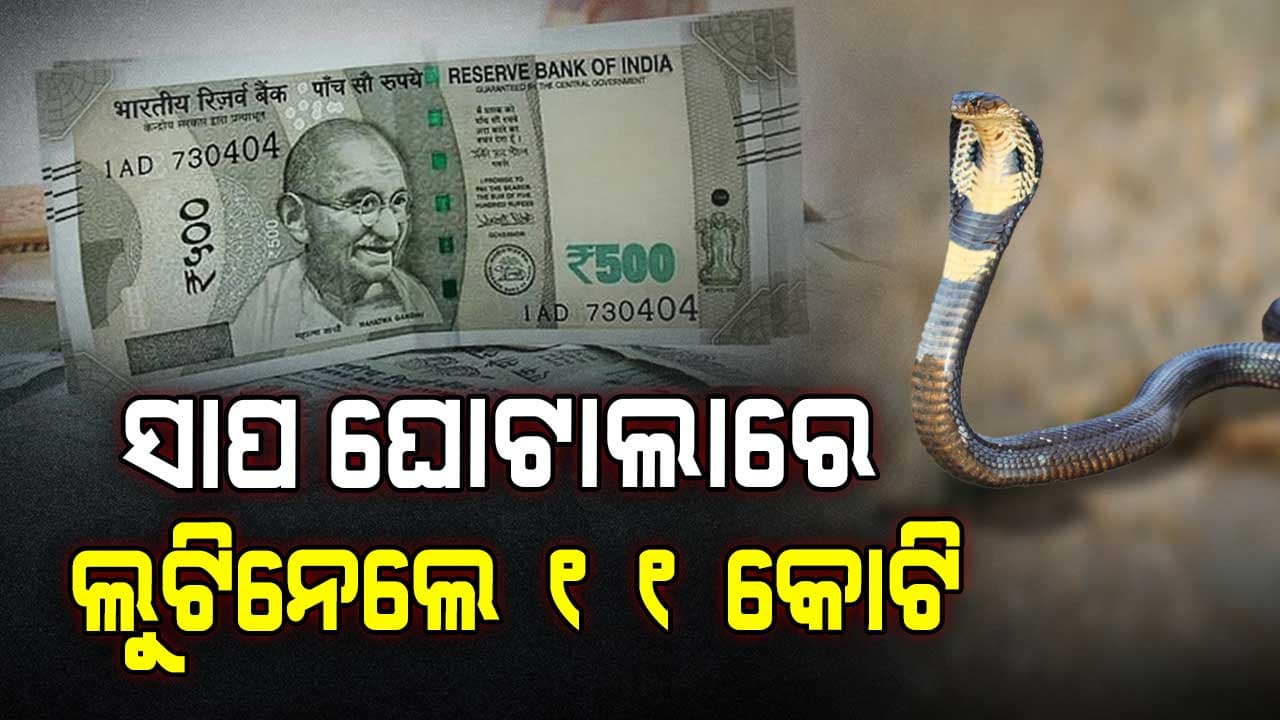 ସାପ କାମୁଡାରେ ୪୭ ଜଣ ଲୋକଙ୍କୁ '୨୭୯'ଥର ମାରି ଲୁଟିନେଲେ ୧୧ କୋଟି ୨୬ ଲକ୍ଷ