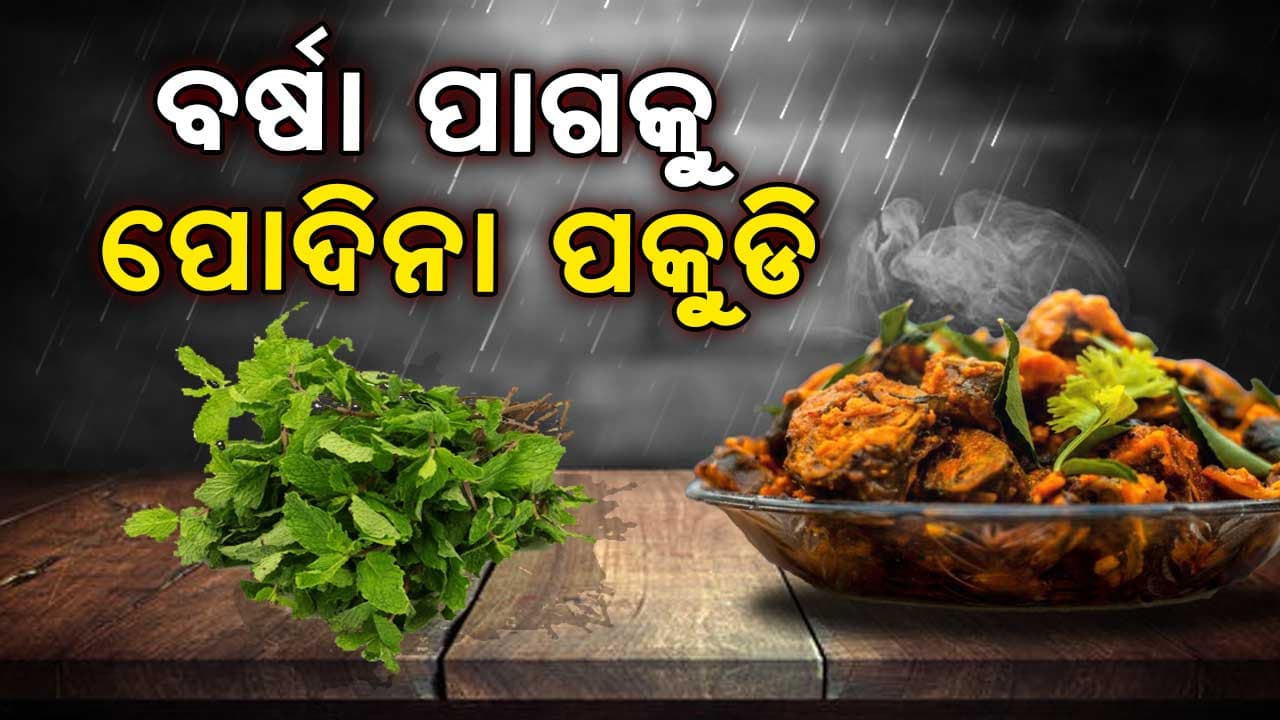 ଏମିତି ବନାନ୍ତୁ ମୁସୁମୁସିଆ ପୋଦିନା ପଖୁଡି