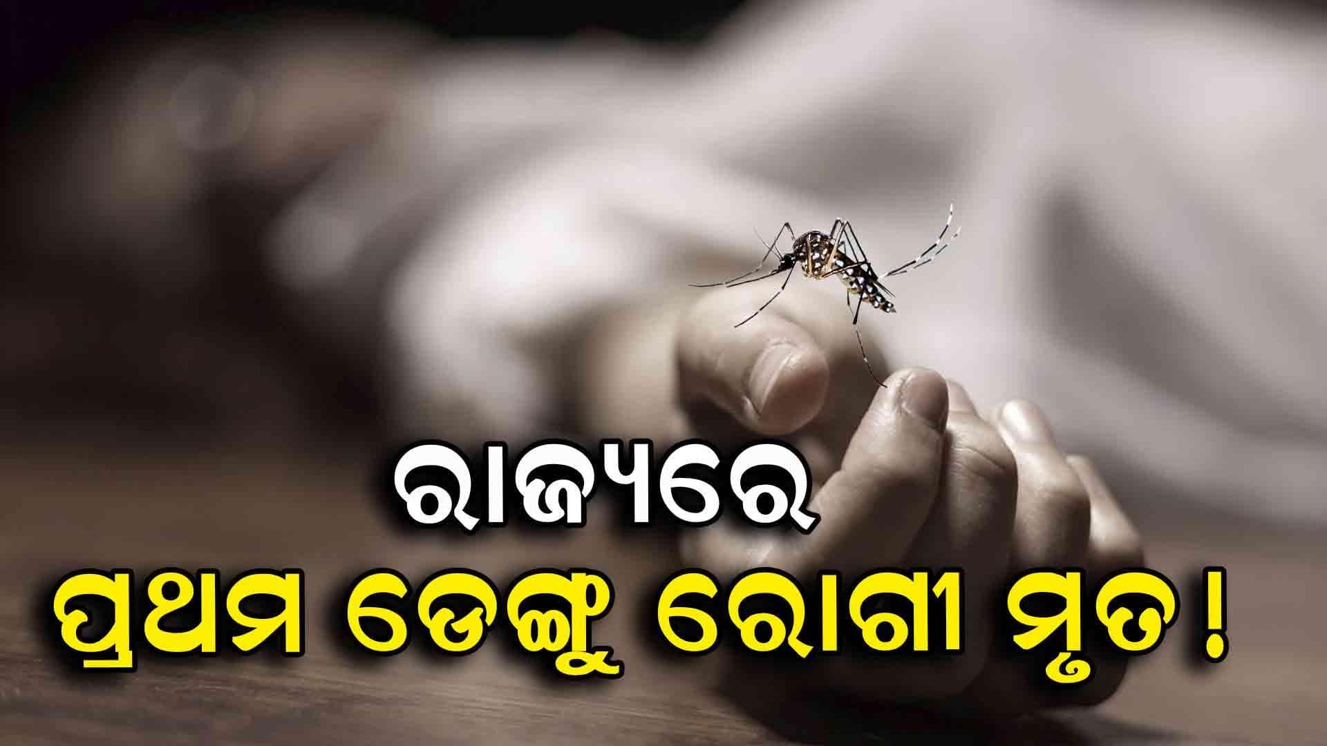 ବର୍ଷା ଆରମ୍ଭରୁ ଡରାଇଲାଣି ଡେଙ୍ଗୁ, ଚାଲିଗଲା ଜଣଙ୍କ ଜୀବନ