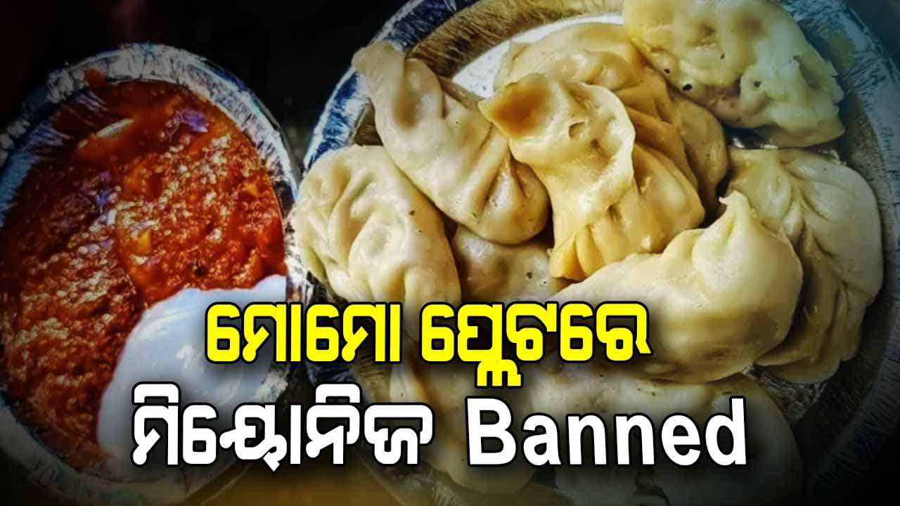 ମୋମୋ ପ୍ଲେଟରେ ଆଉ ବ୍ୟବହାର ହେବନି ମିୟୋନିଜ