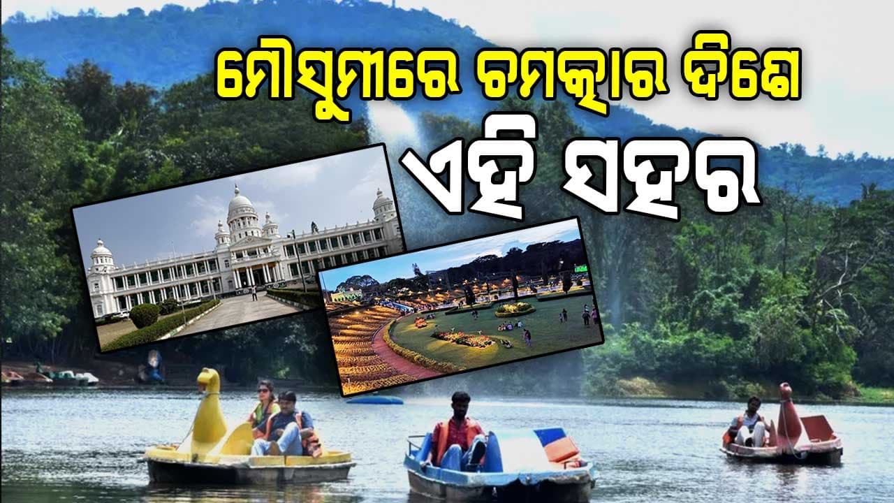 କ'ଣ ଆପଣ ଫଟୋଗ୍ରାଫିରେ ସଉକ୍ ରଖନ୍ତି, ଏହି 5 ସ୍ଥାନ ଆପଣଙ୍କ ହୋସ୍ ଉଡାଇଦେବ