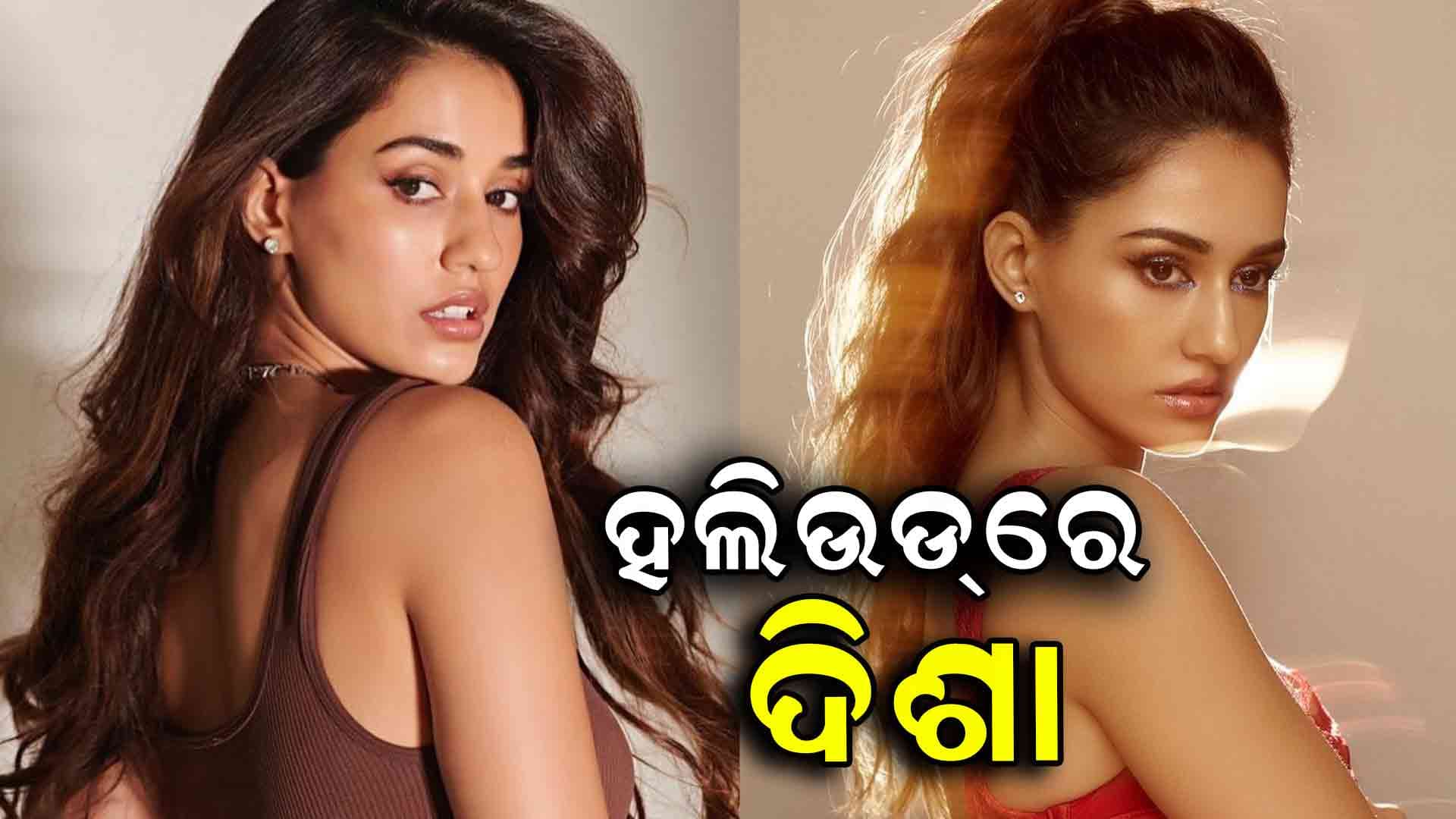 ହଲିଉଡ ମୁହାଁ ଅଭିନେତ୍ରୀ ଦିଶା ପଟାନୀ, ଖୁସିରେ ଫ୍ୟାନ୍ସ