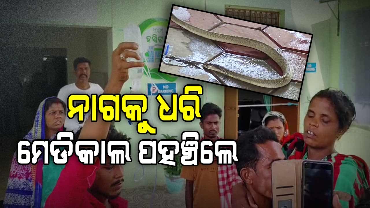 ନାଗ ସାପ କାମୁଡ଼ିବାରୁ ସାପକୁ ଧରି ମହିଳା ମେଡିକାଲ ପହଞ୍ଚିଲେ