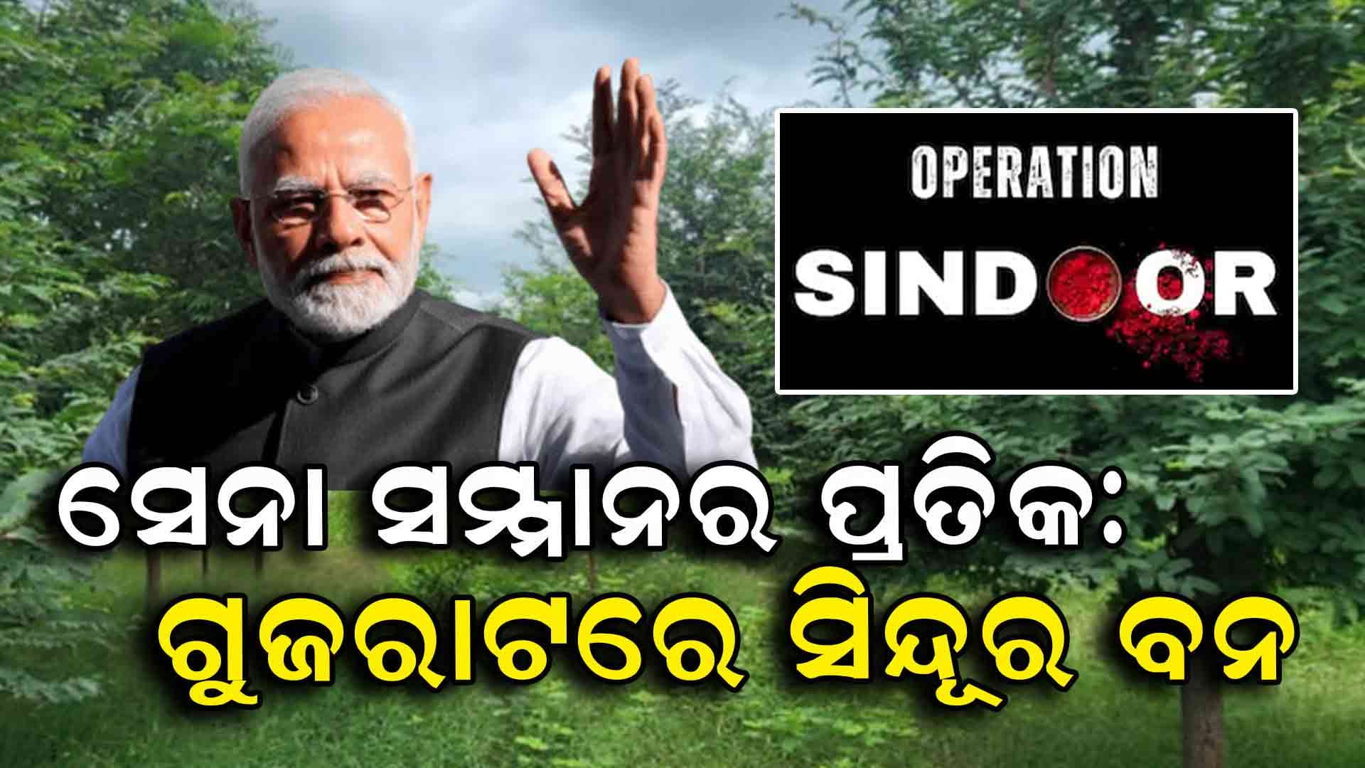 ସିନ୍ଦୂର ବନ: ଗୁଜରାଟରେ ସେନାଙ୍କ ସମ୍ମାନରେ ୨୦ ଏକର ଜମିରେ ଜଙ୍ଗଲ ପ୍ରକଳ୍ପ ଘୋଷିତ