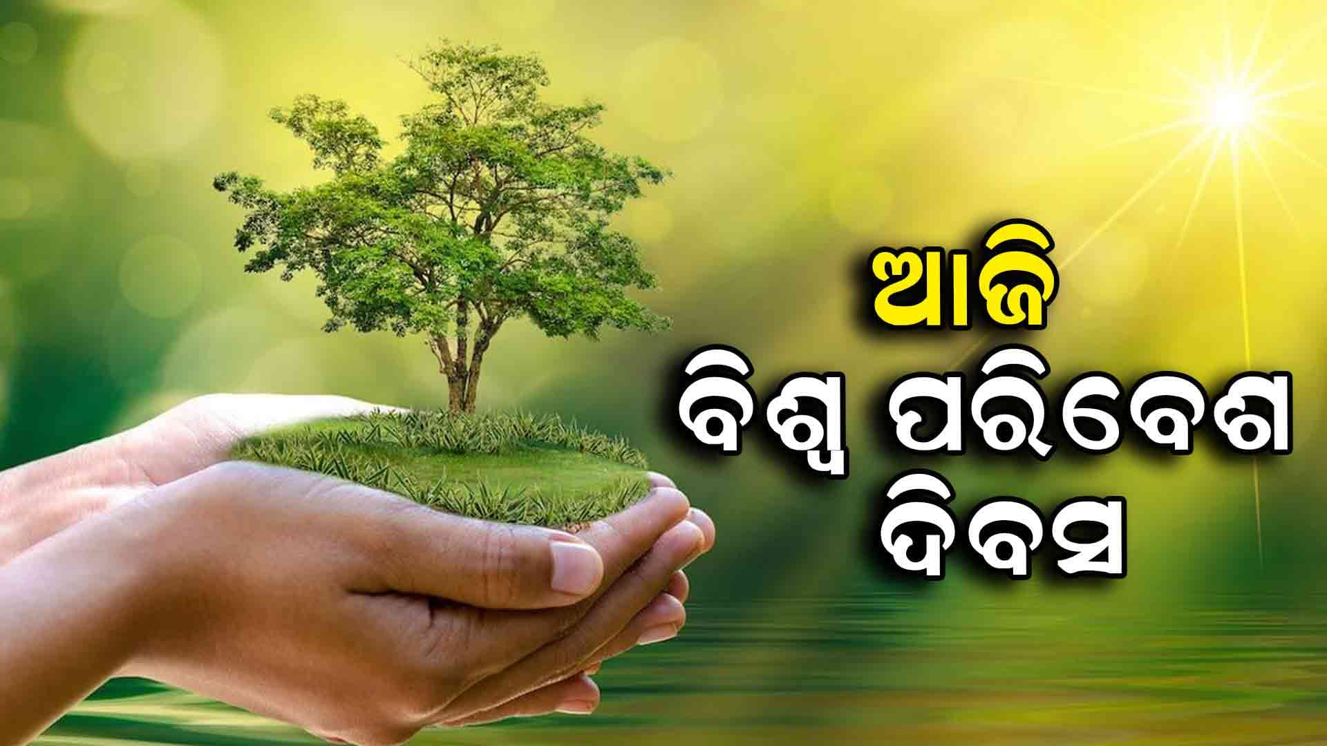 ପୃଥିବୀ ଆମର ମା', ଆଉ ପ୍ରକୃତି ହେଉଛି ଆମର ଜୀବନ